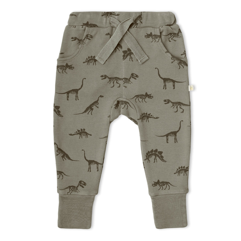 Organic Kimono Onesie & Pants Set - Dino
