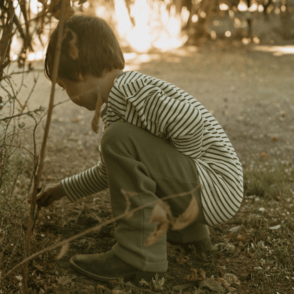 Organic Tee & Foldover Pants Set - Olive Stripes