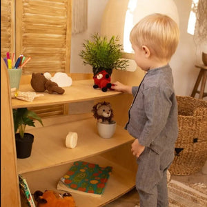 Wooden Montessori Toy Shelf – Organizer for Educational Toys - KiddoLux