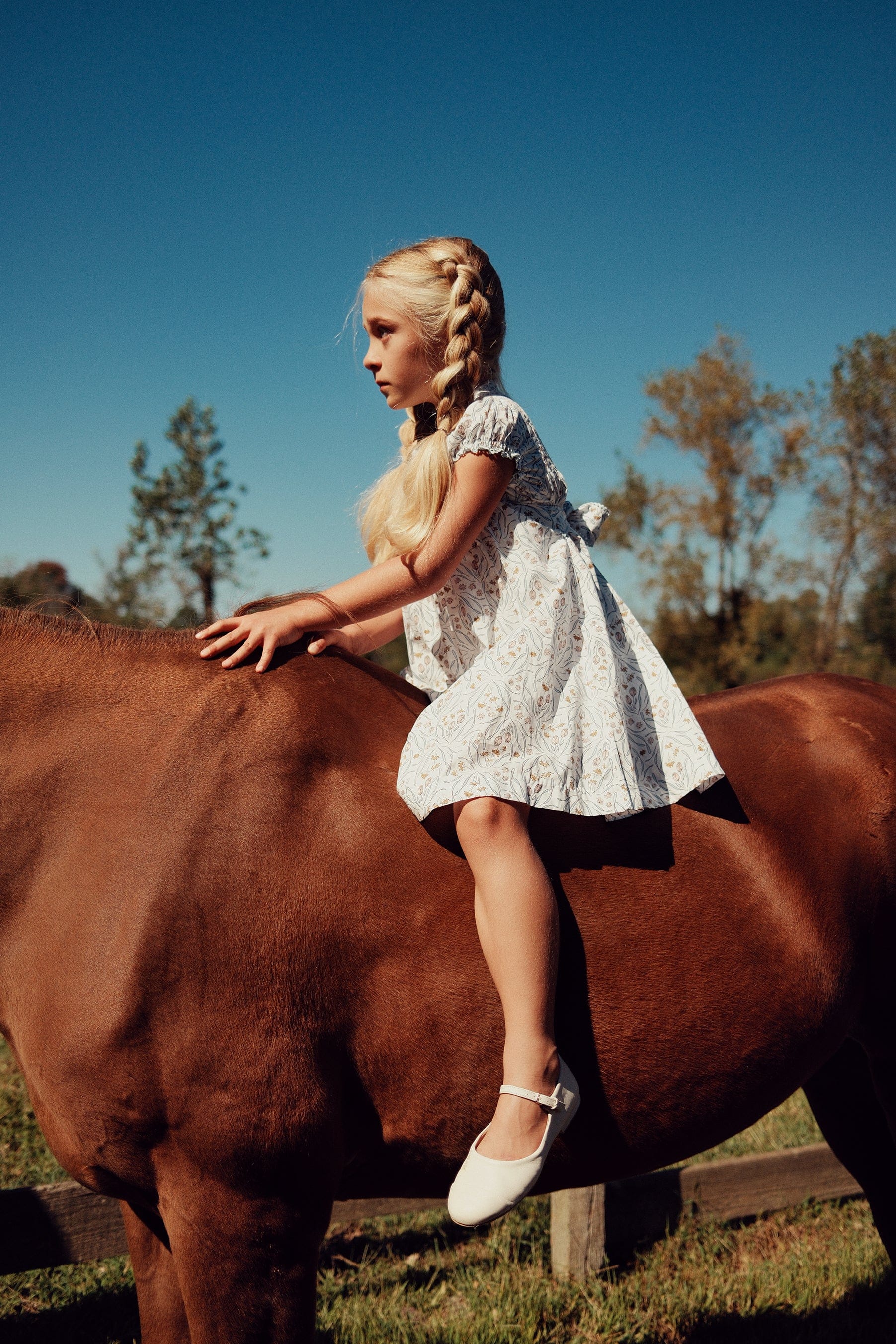 Louise Dress