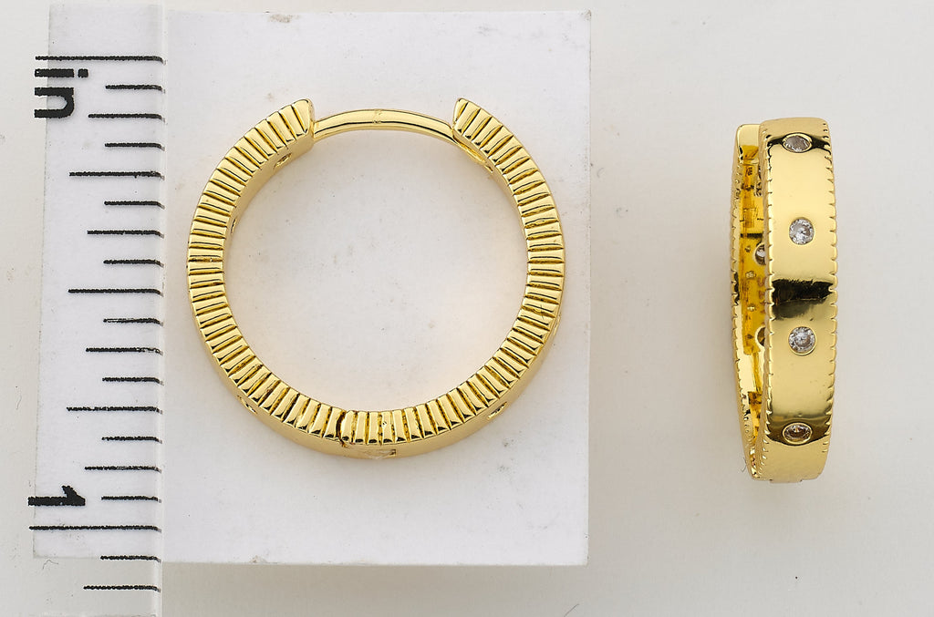 Hoop Earring