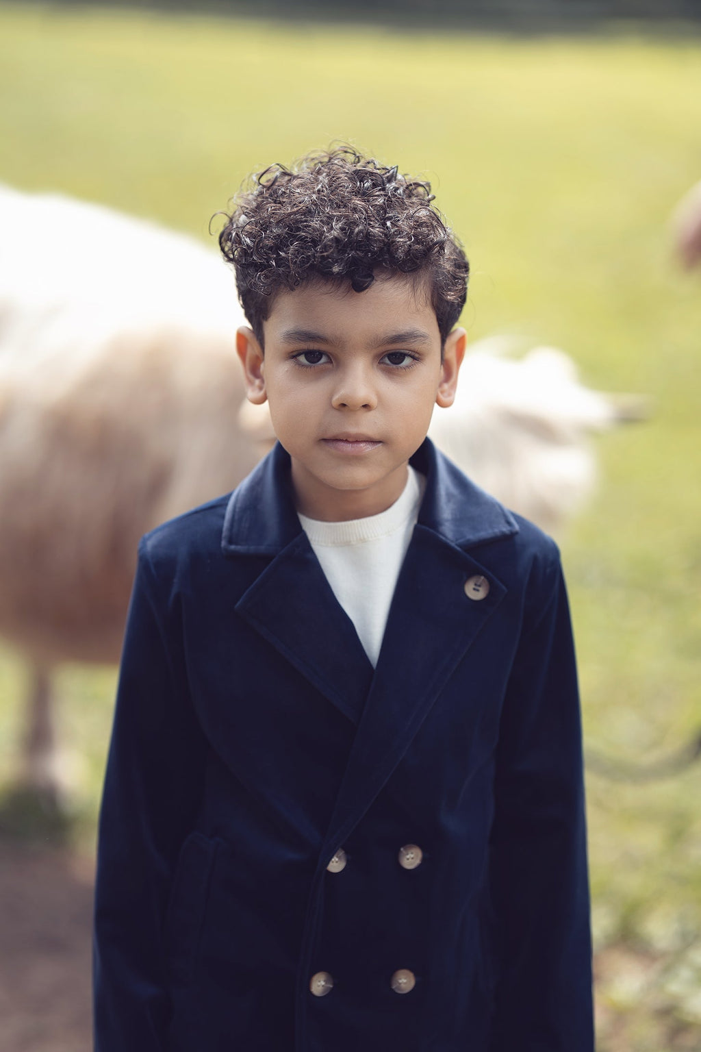 Sol Blazer - Navy