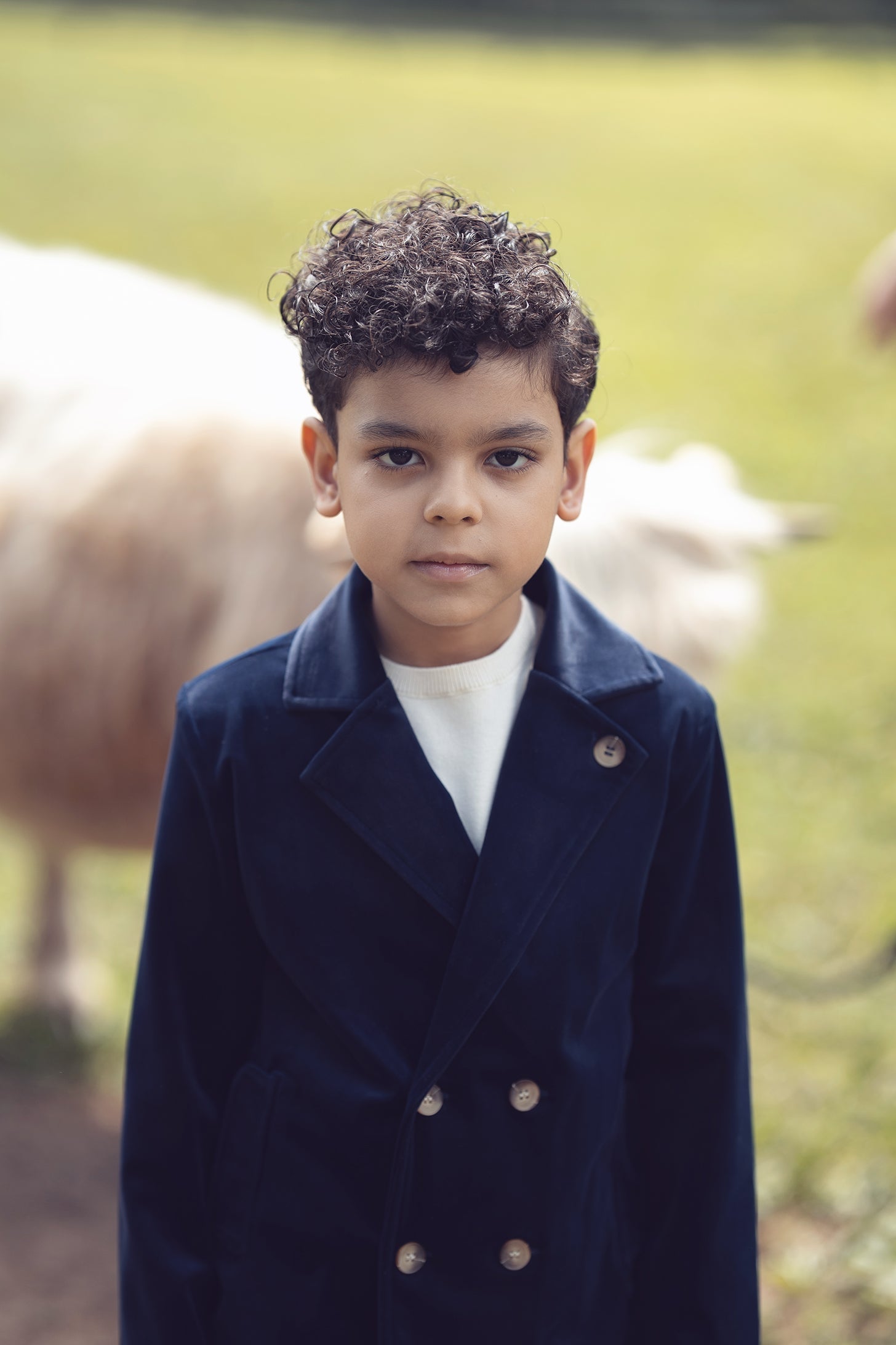 Sol Blazer - Navy