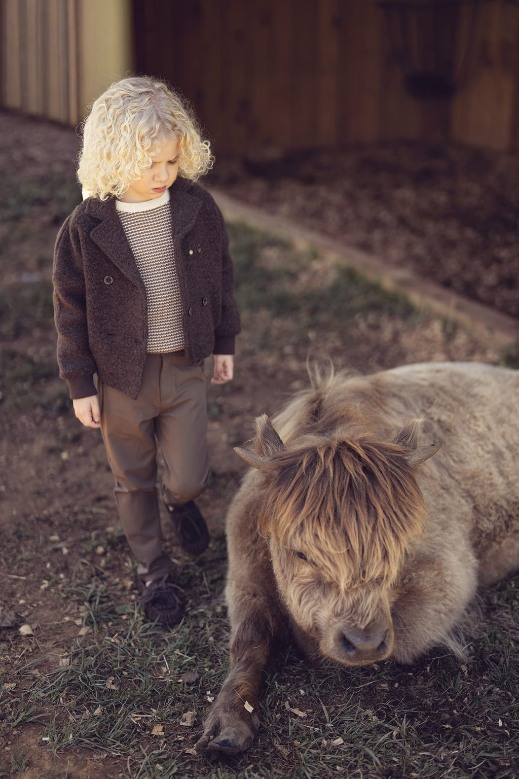 Kenny Sherpa Jacket - Chocolate