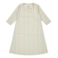 Stripe Swim Dress
