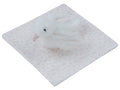 Whispering Blooms Plush Toy - Pink