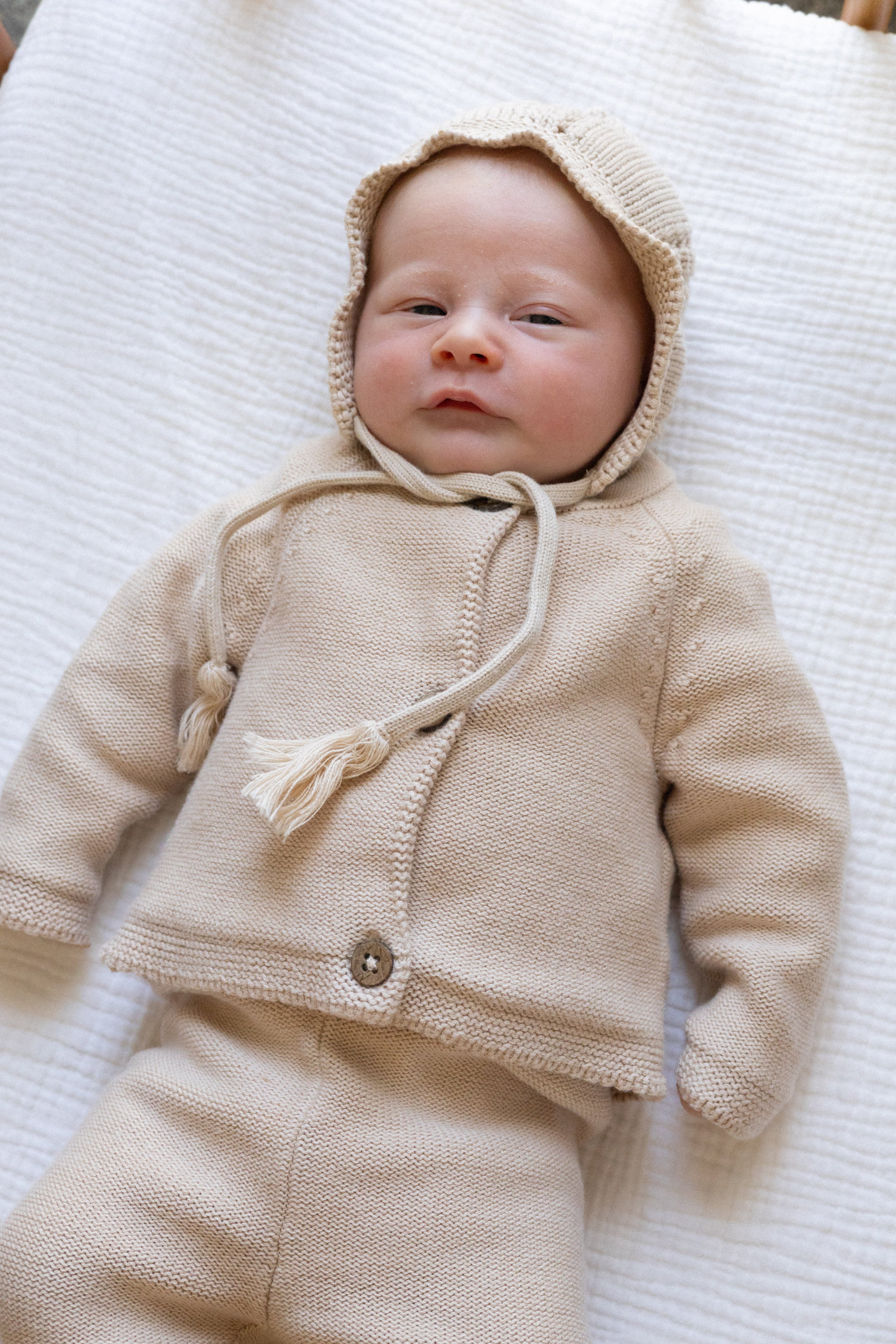 The Daily Cardigan Baby