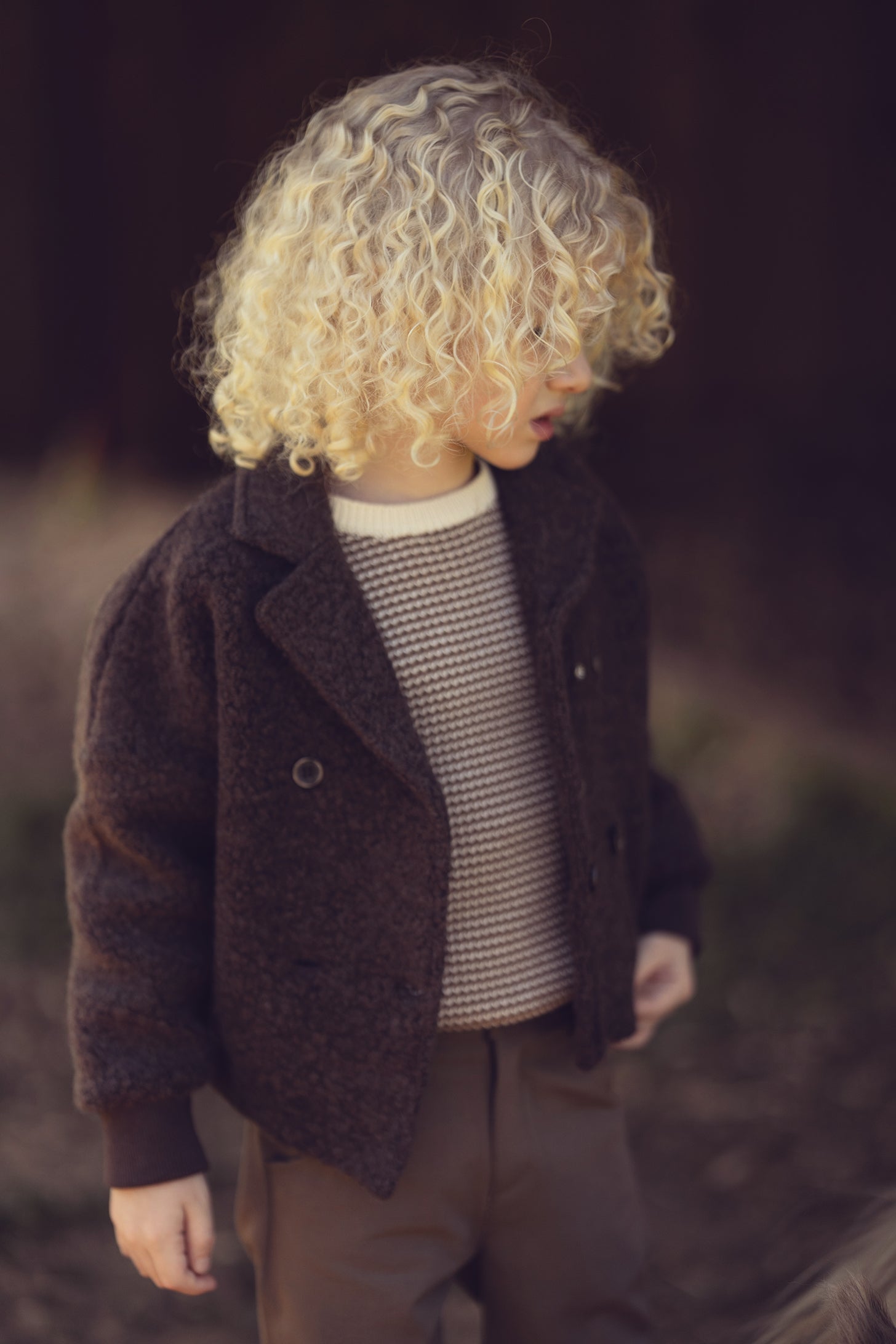 Kenny Textured Sweater - Chestnut