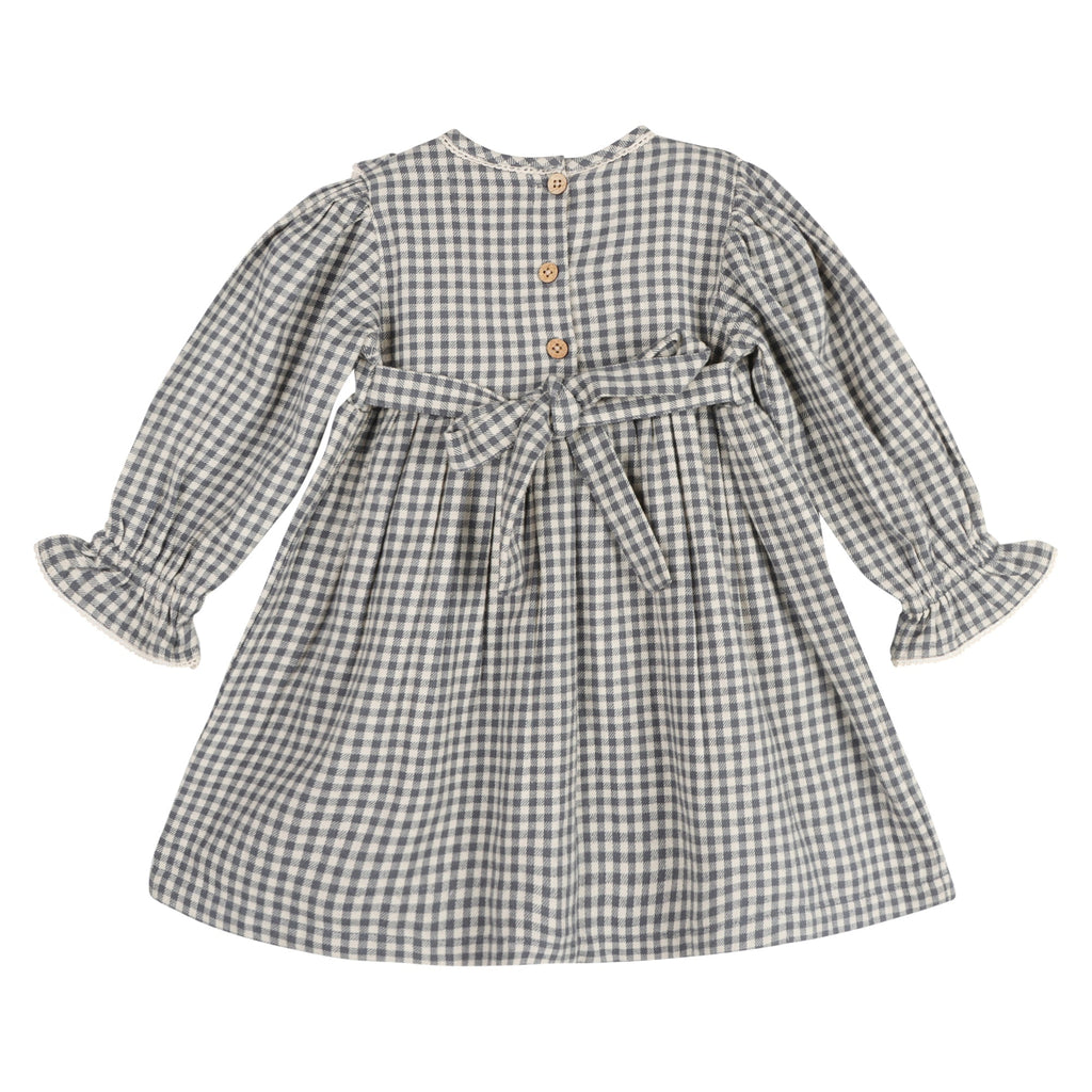 Blue Harmony Gingham Dress