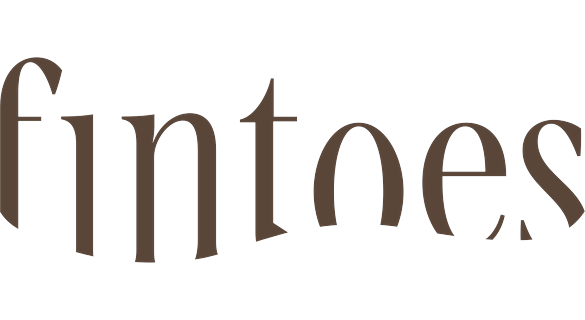Fintoes logo